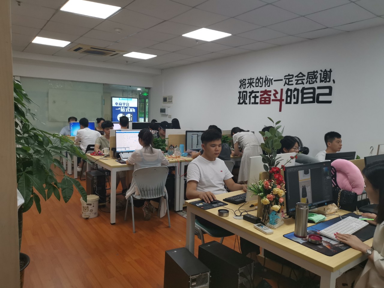 匯學教育成立扶搖電商運營孵化公司，助力電商行業新篇章